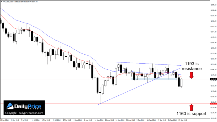 Gold daily chart